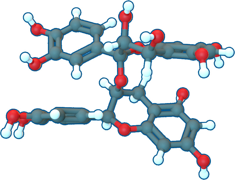 Image of Procyanidin (A and B type) | C30H26O13 | Supreme Pharmatech